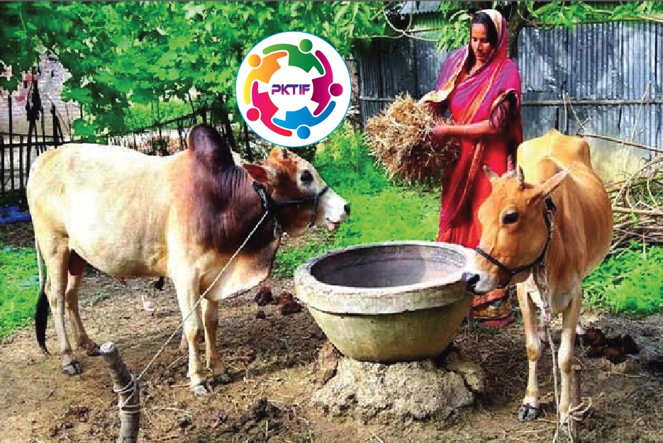 গ্রামীণ অঞ্চলে গরু পালন প্রত্যেকটা পরিবারের জন্য অত্যন্ত লাভজনক ও অর্থনৈতিক সমৃদ্ধি বৃদ্ধি প্রধান মাধ্যম। ।